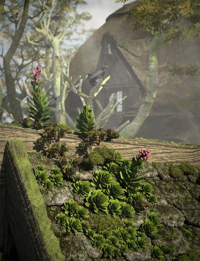 tinyplantshouseleeks00maindaz3d1-2