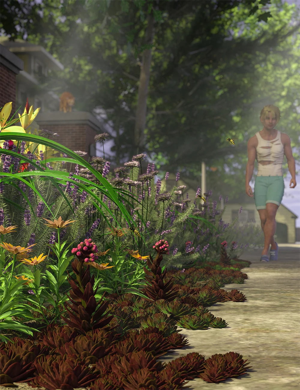 Tiny Plants - House Leeks