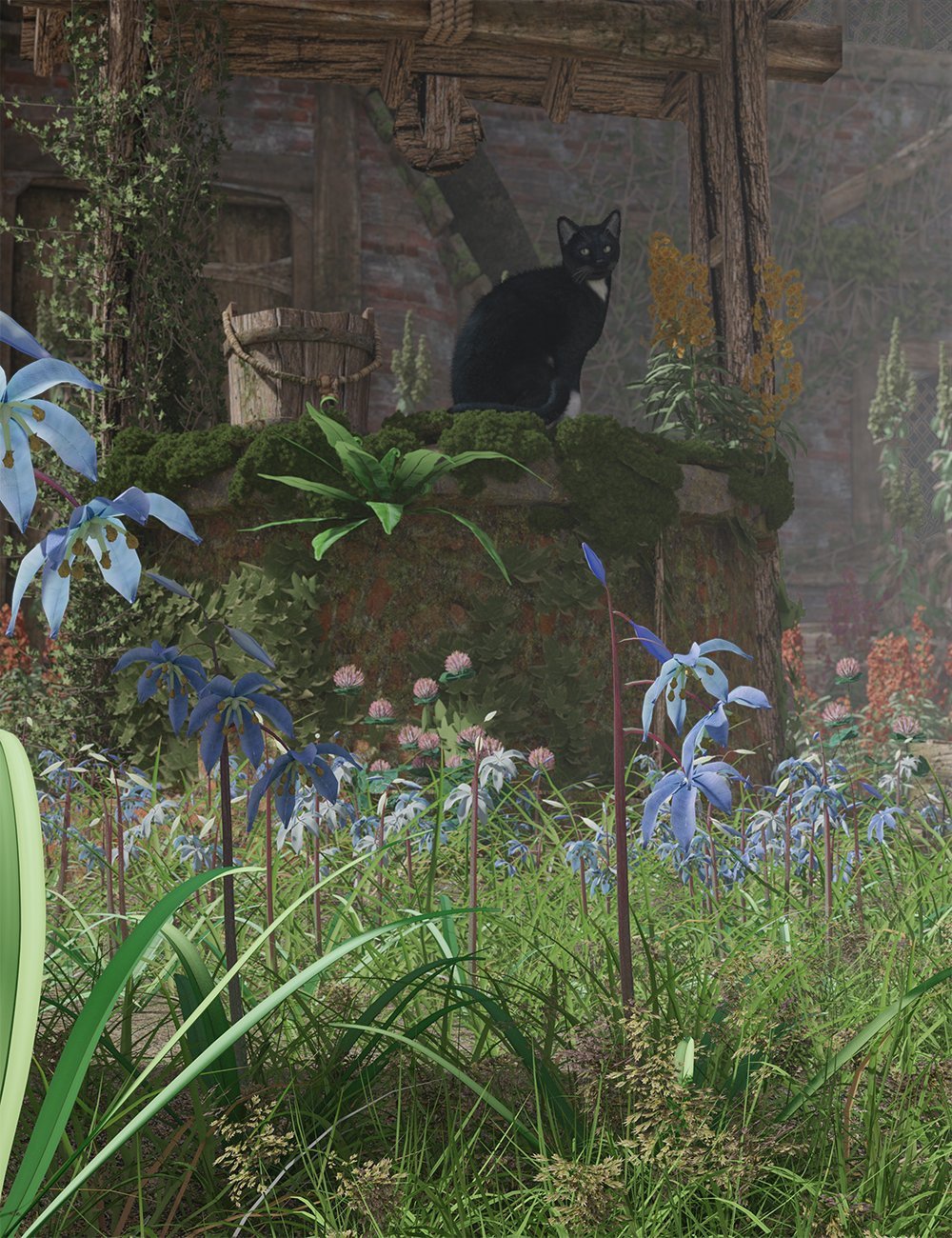 Spring Flowers - Scilla Siberica - Squills