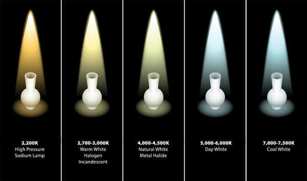 photography guide to lights temperature