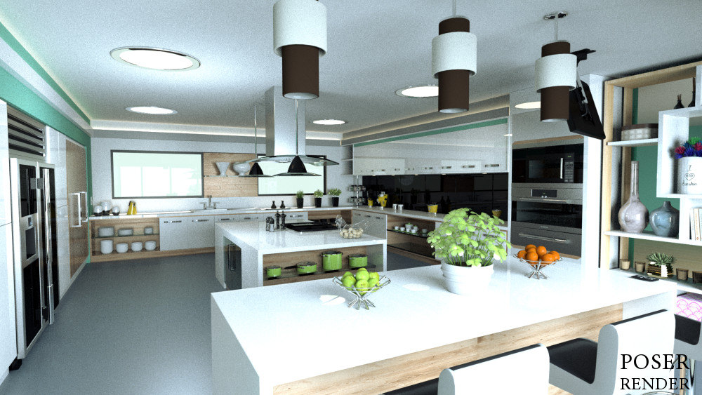 Contemporary Kitchen