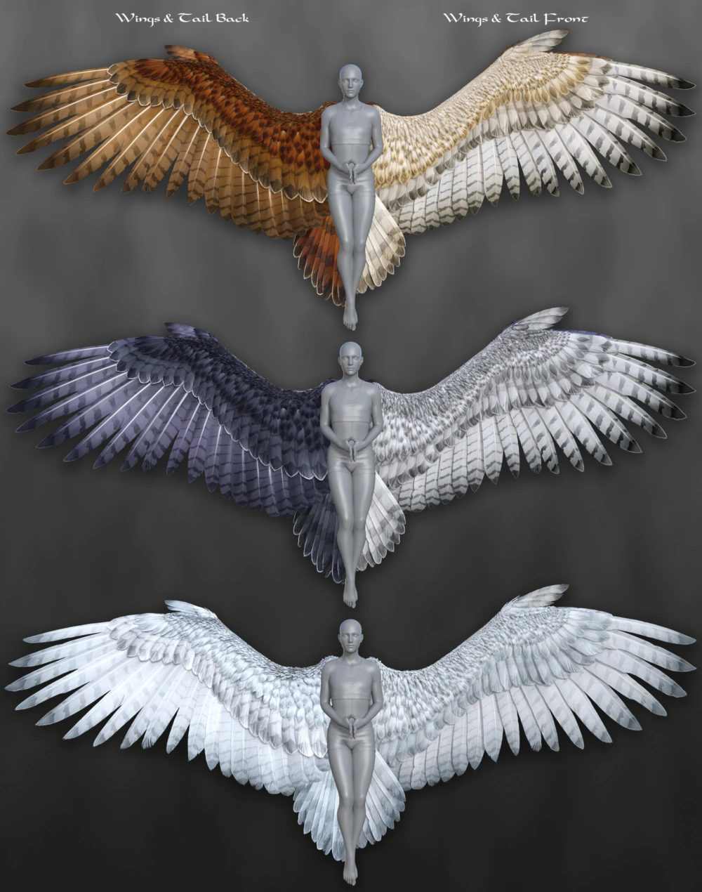 Avija Wings and Tail for Genesis 8 and 8.1 Males