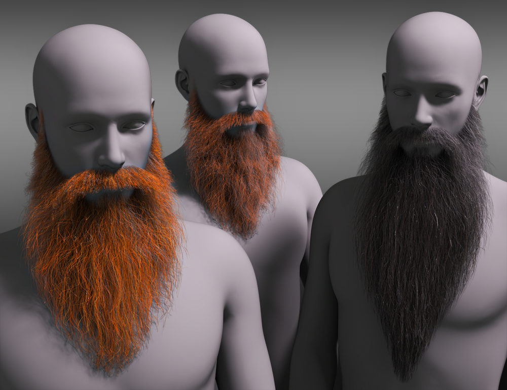 Wizard's Beard and Brows for Genesis 8.1 Males