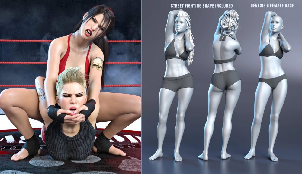 Z Street Fighting Shape and Couple Poses for Genesis 8 and 8.1