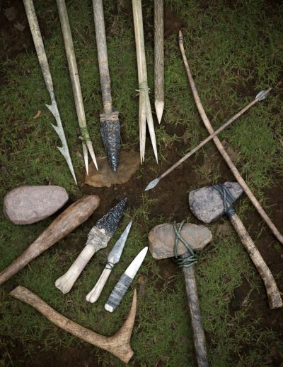 bwprimitiveweaponsbundleforgenesis8and8100maindaz3d-scaled-3