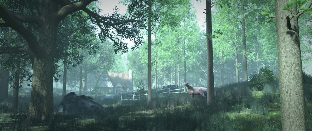 House in Witches Wood