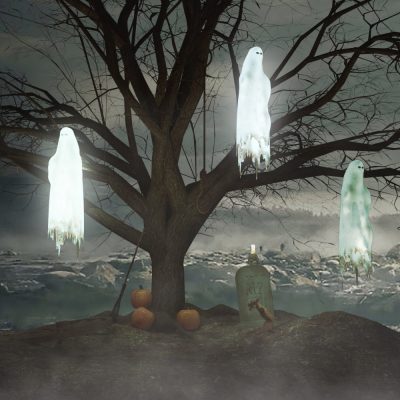 Full156693_119529c3f3cc0e831c36ddaccbf81a1a-3