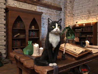 tuxedo-cat-for-mars-05-4