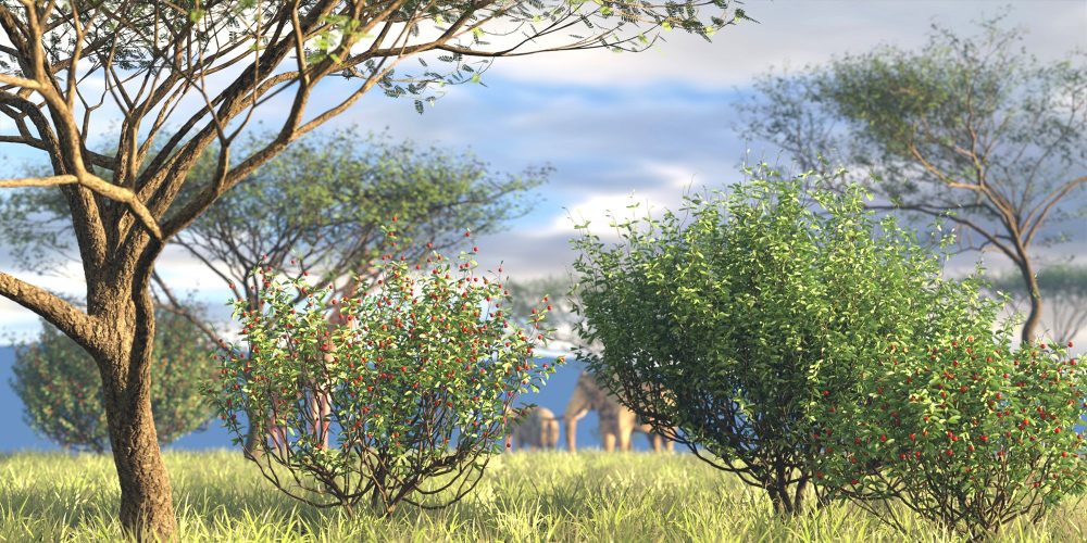 Predatron African Trees and Bushes