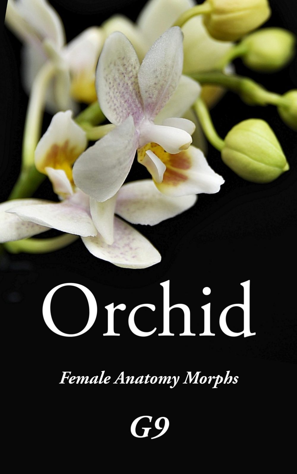Orchid - Genital Morphs for G9F Anatomy