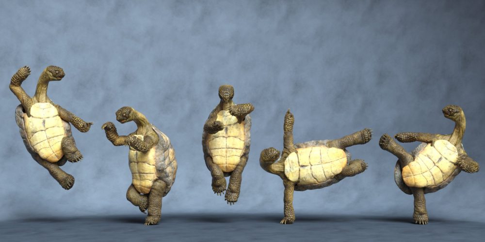 Master Turtle Hierarchical Poses for Storybook Turtle