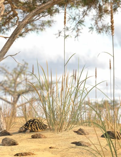 Just-Beachy-Marram-and-Dune-Grass-for-Daz-Studio-3