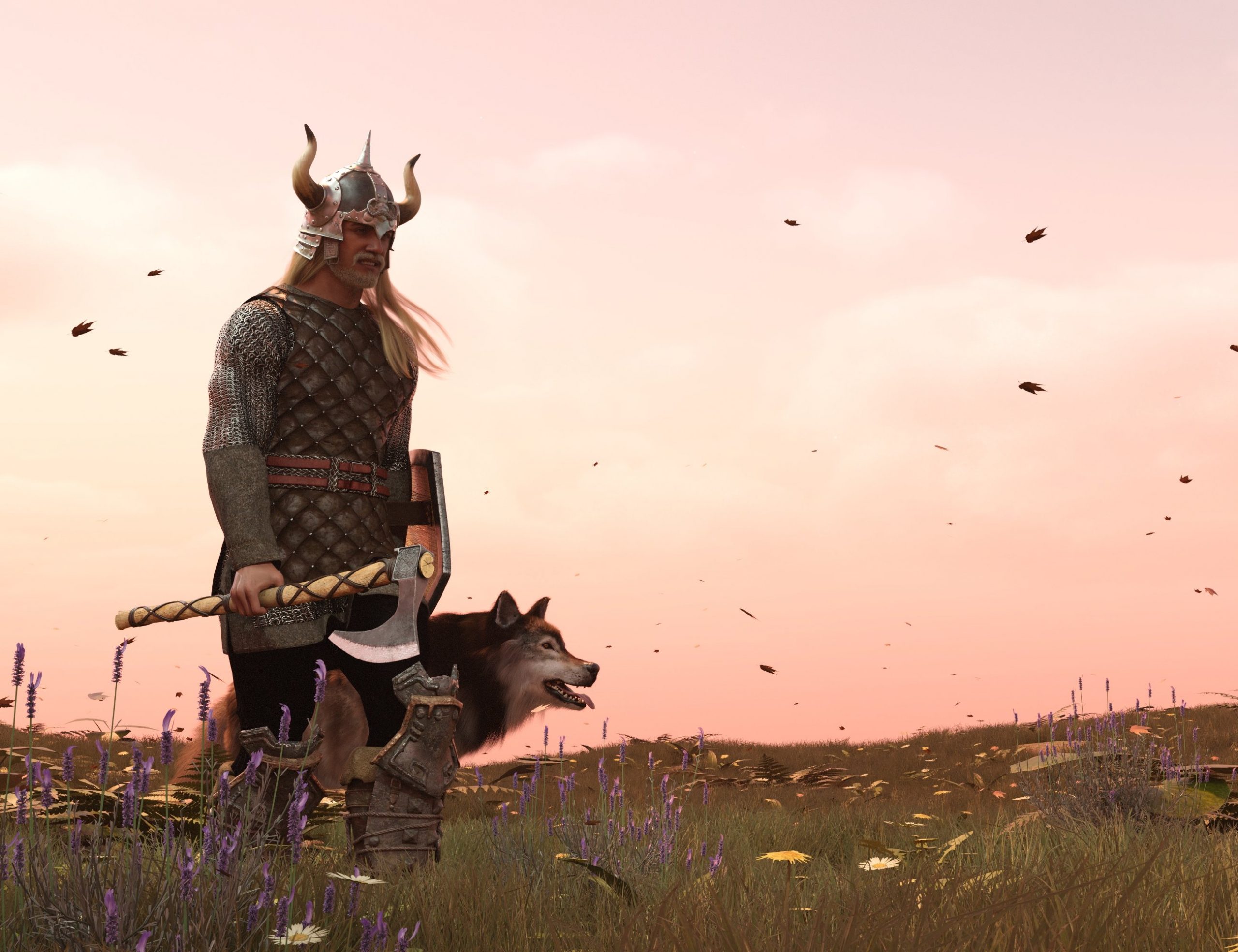 Viking Weapons Collection