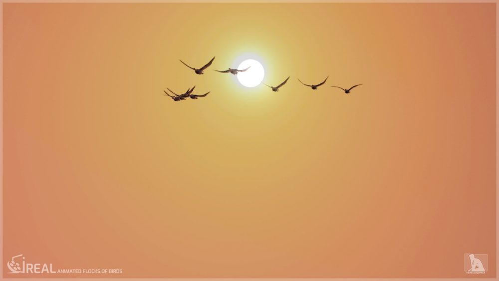 iREAL Animated Flocks of Birds