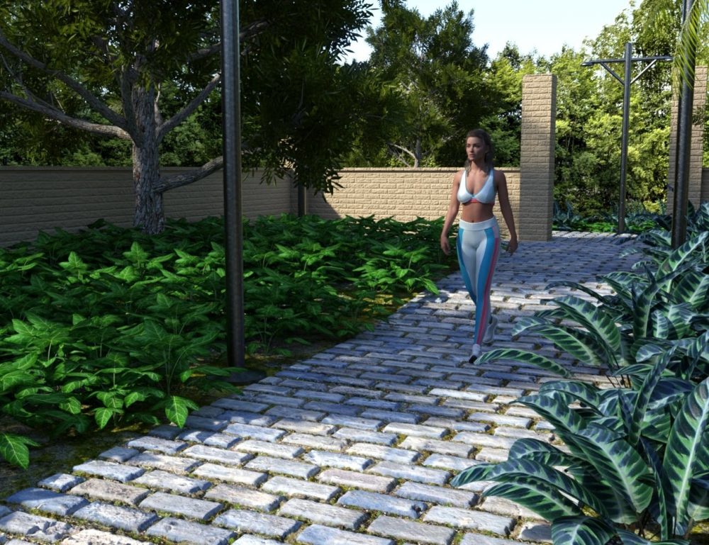 Path Through the Garden