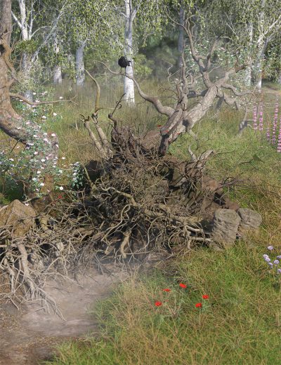 tanglewoodstumperyfairytaletreestumpsdeadandfallentrees00maindaz3d-3