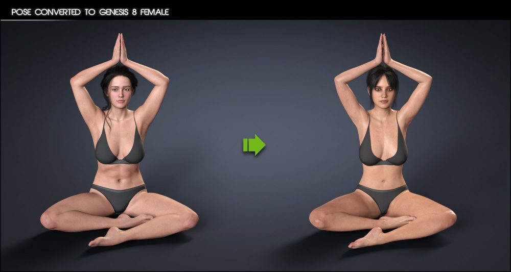 Genesis 9 to 3 and 8 Pose Converter