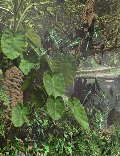 tropicalalocasiaplantstropicaljungleandcontainerplants00maindaz3d-3