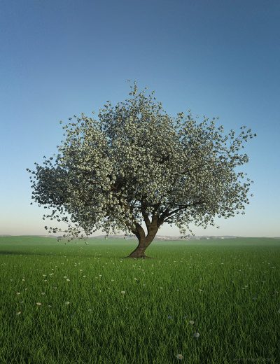 00-main-hdri-dawn-clean-skies-daz3d-3