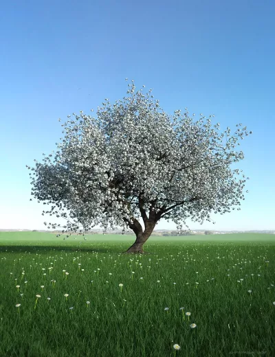 00-main-hdri-daylight-clean-skies-daz3d