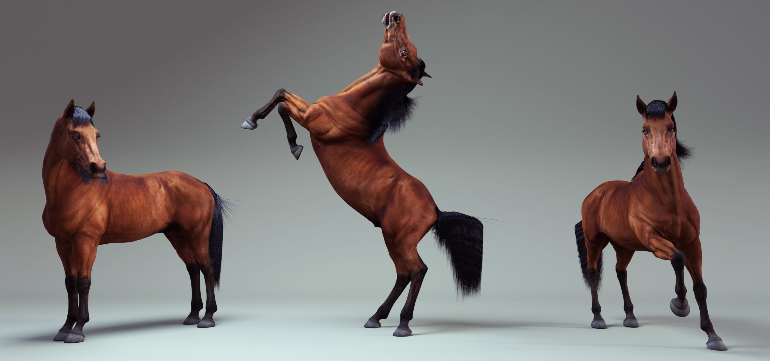 Mighty Stallion Poses for Daz Horse 3