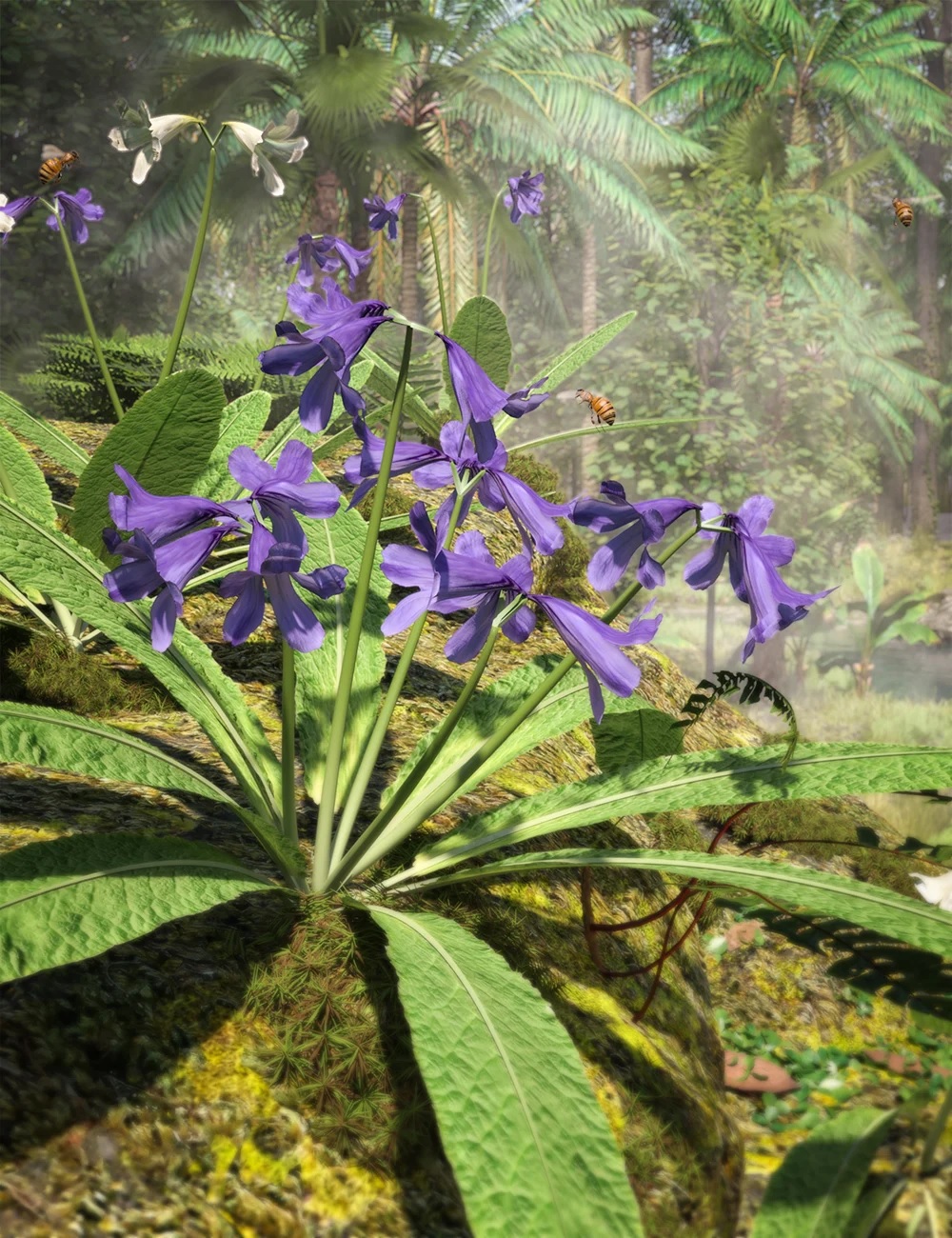 Cape Primrose – Tropical Streptocarpus Plants for Daz Studio