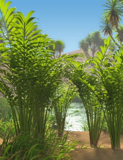 predatronkentiapalm00maindaz3d-2