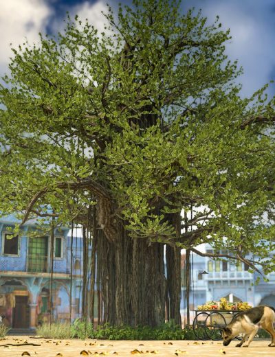 banyantreeshighresolutionplantsfordazstudio00maindaz3d-2