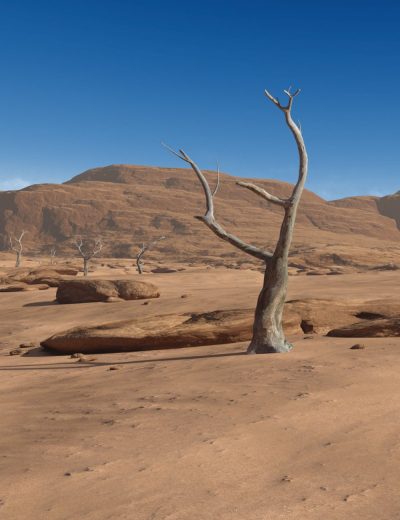 littledesertvalley00maindaz3d-2