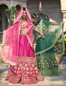 dForce Indian Bride Texture Add-On