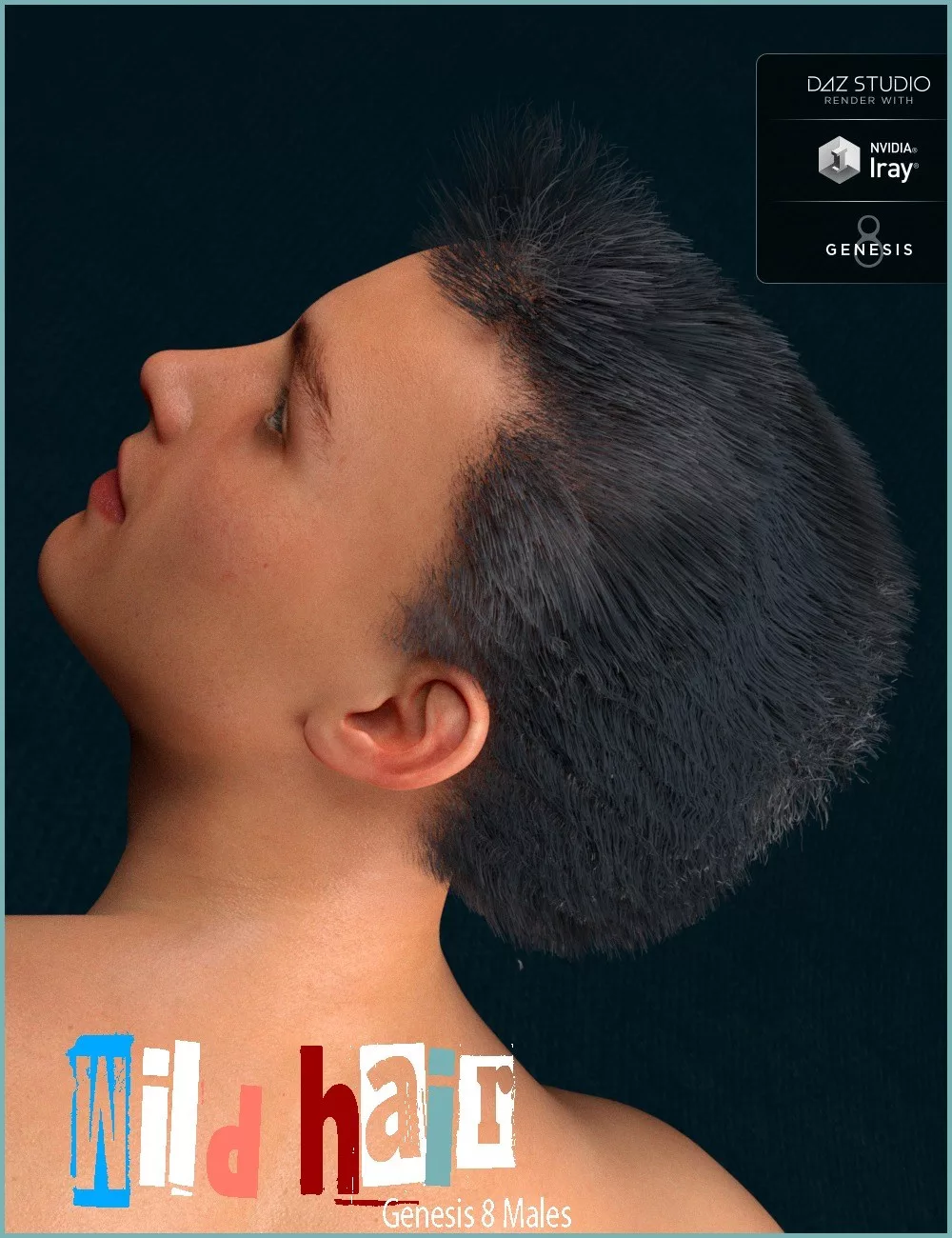 Wild Hairs for Genesis 8 Male