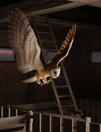 dsfantasyowl00maindaz3d