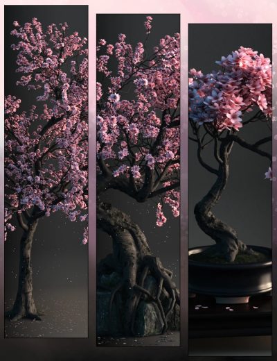 V176-Flowering-Cherry-Trees