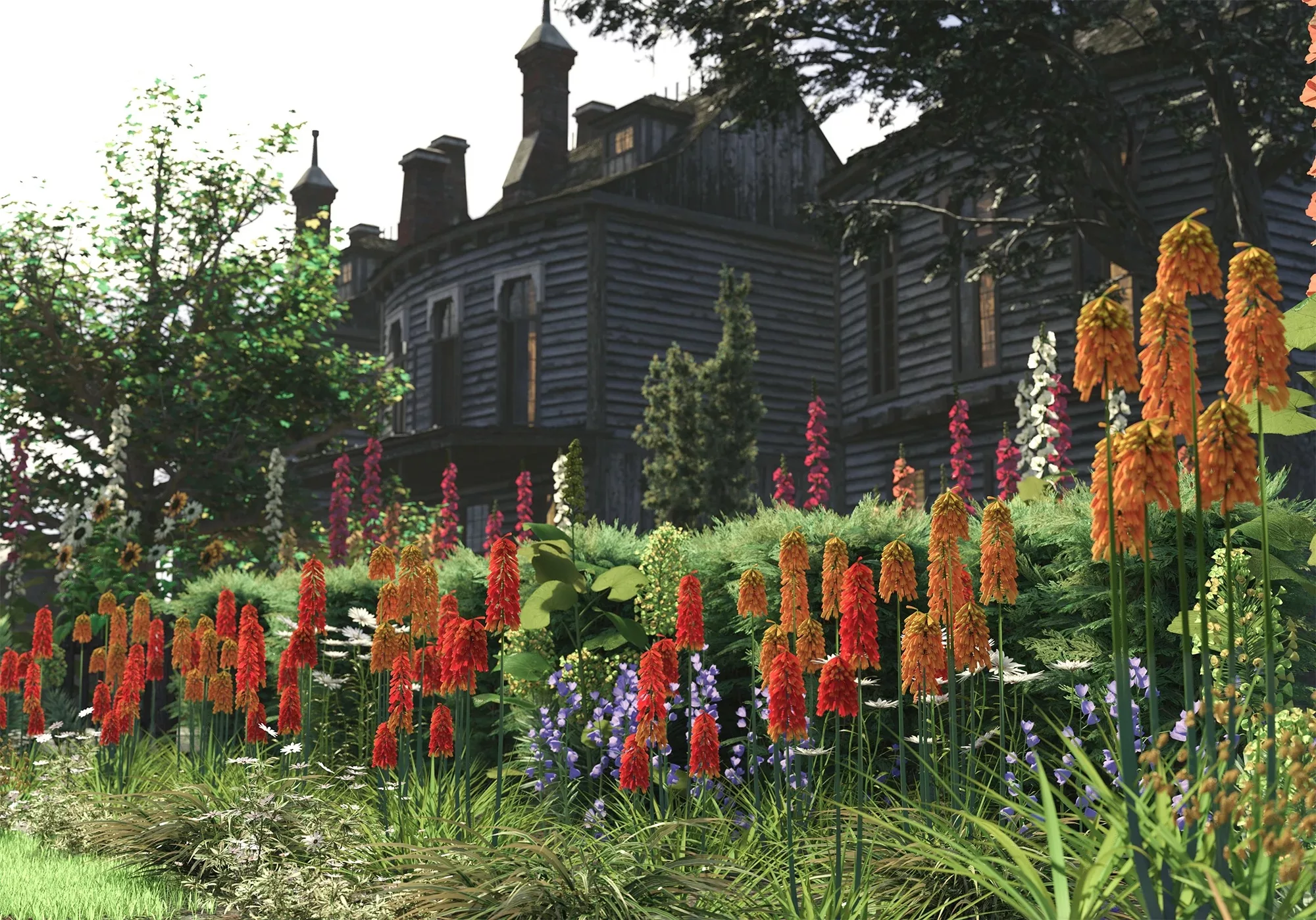 Kniphofia Plants - Red Hot Poker Flowers
