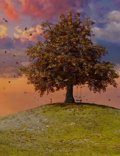 redoaktreewithdforceleaves00maindaz3d