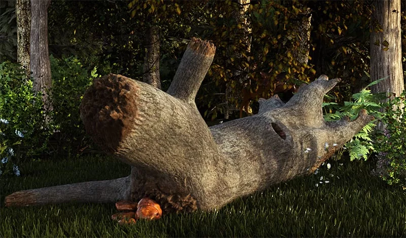 Logs and Stumps for DAZ Studio