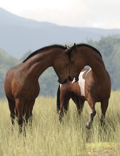 horseduetposesfordazhorse300maindaz3d1