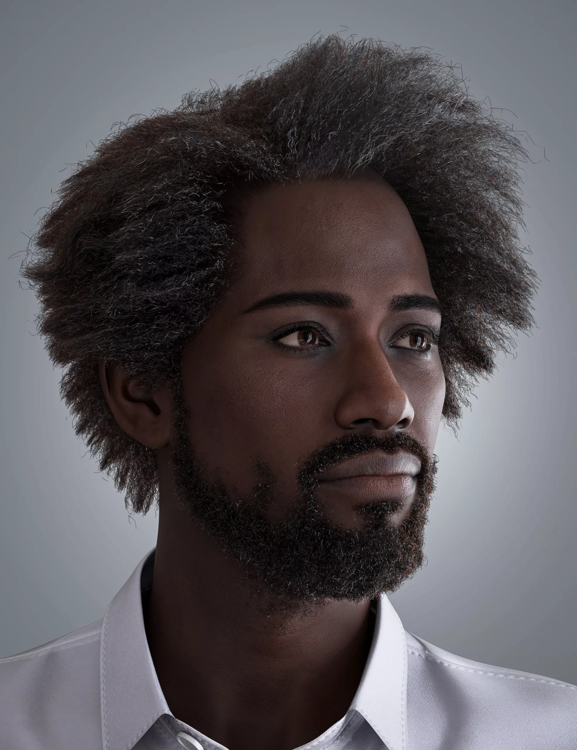 HS Mandeep Frizz Hair and Beard for Genesis 9