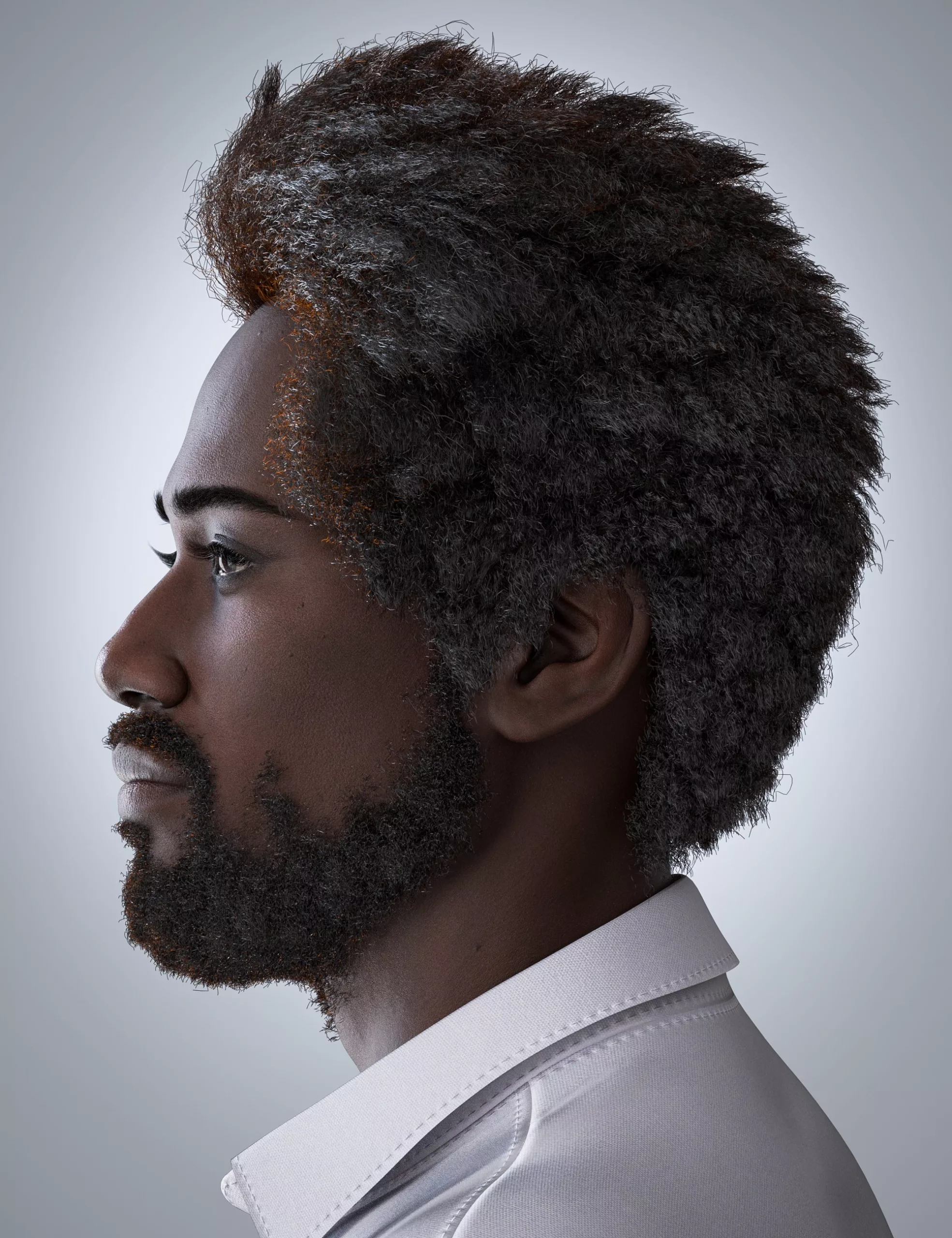 HS Mandeep Frizz Hair and Beard for Genesis 9