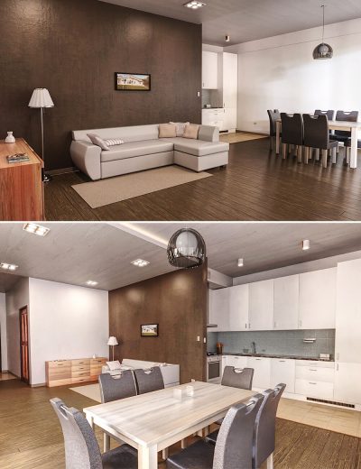 modern-living-with-kitchen-011