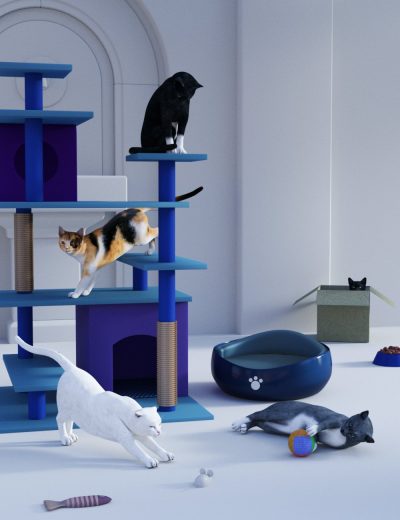bestcatposesnpropsfordazhousecat00maindaz3d