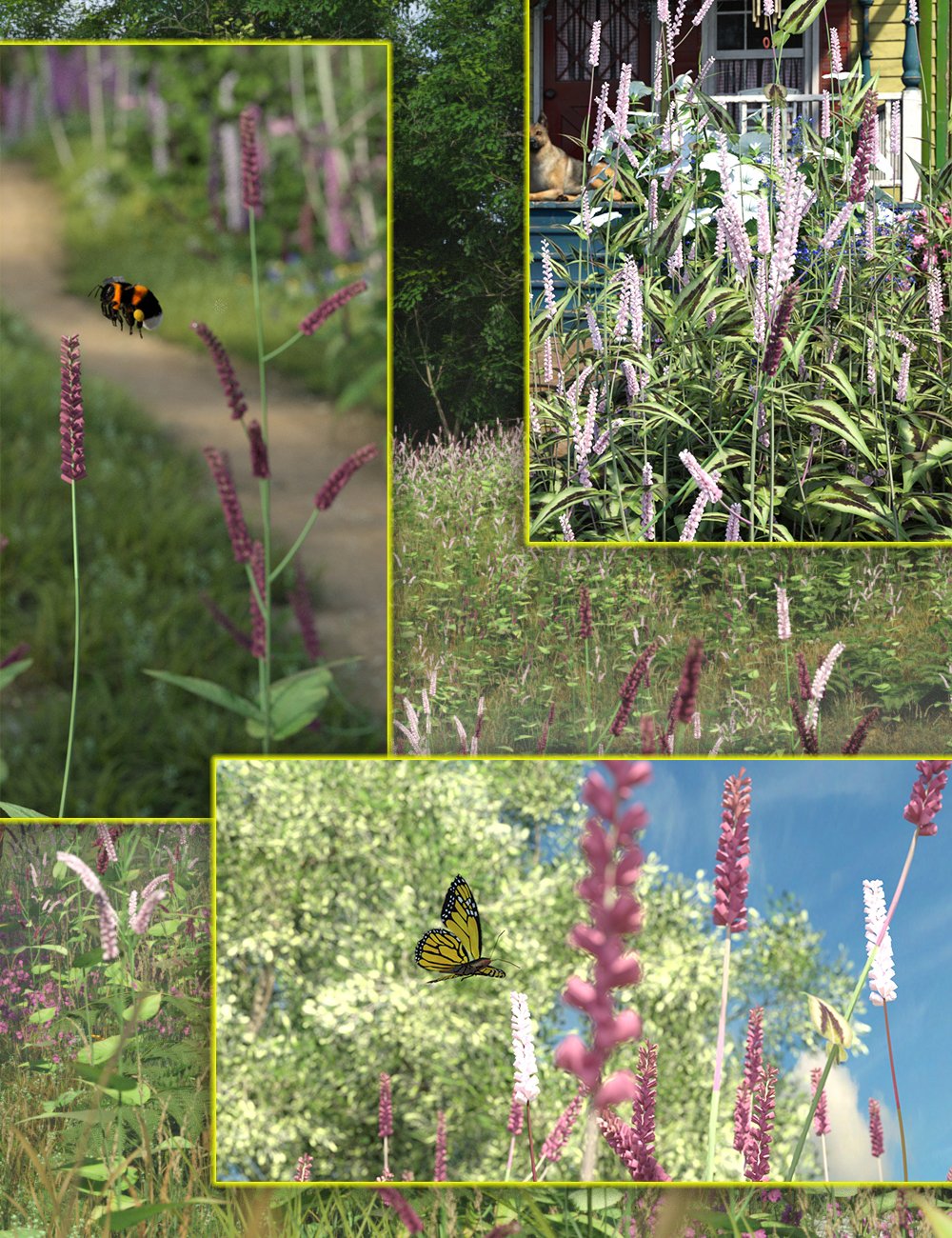 Cottage Garden Flowers Vol 3 - Persicaria
