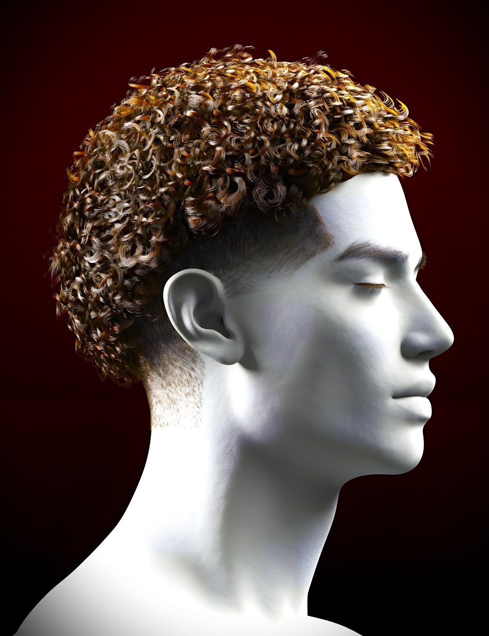 FPD Curly Taper Fade for Genesis 9 FPD Curly Taper Fade for Genesis 9