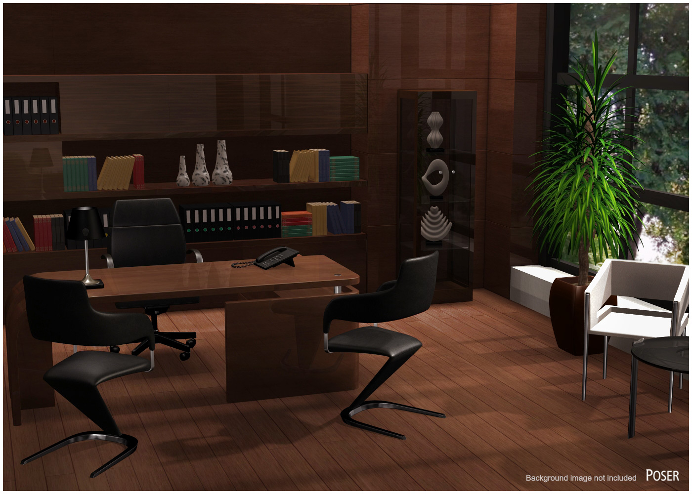 Executive Office for Poser and DS