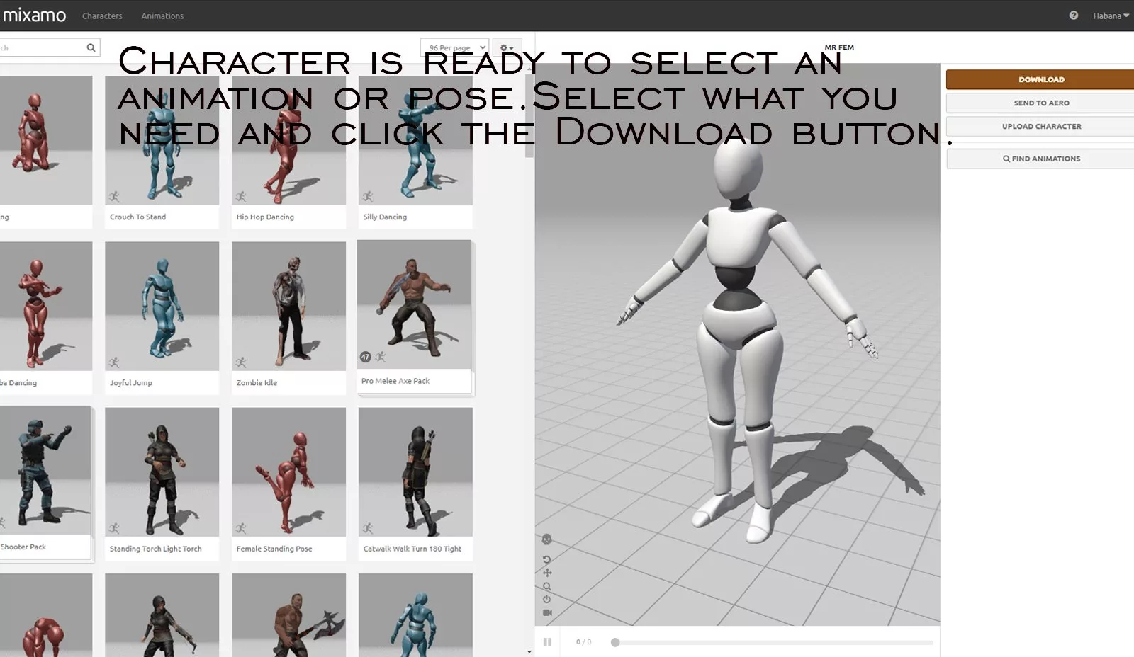Mixamo Rigged Genesis 9 Character