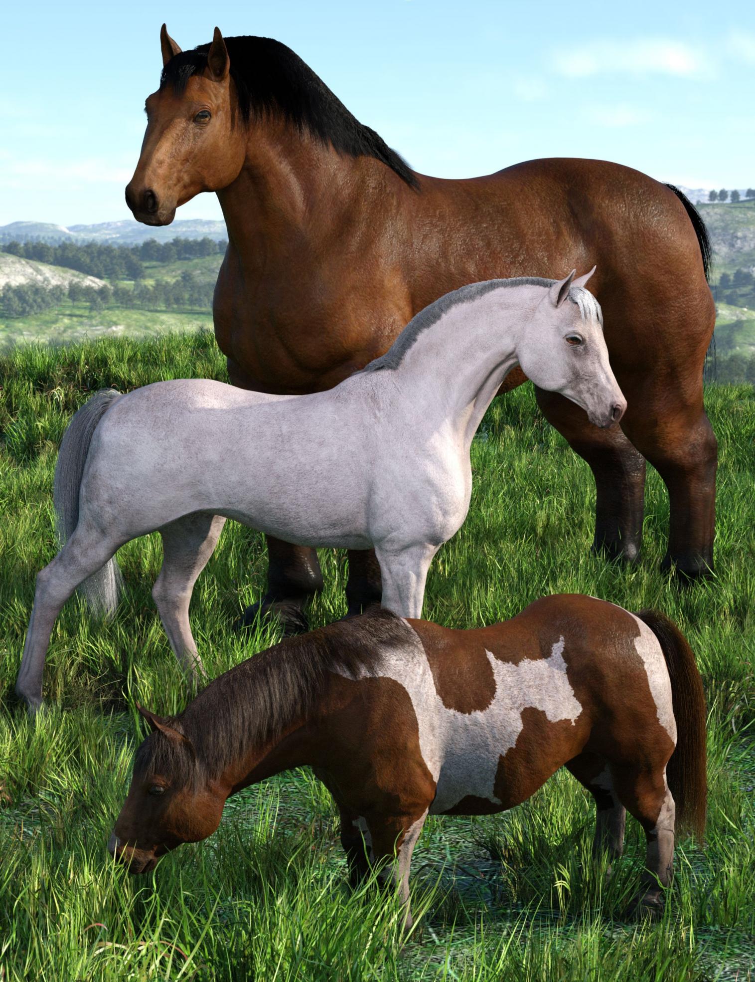 Phenotypes for DAZ Horse 3