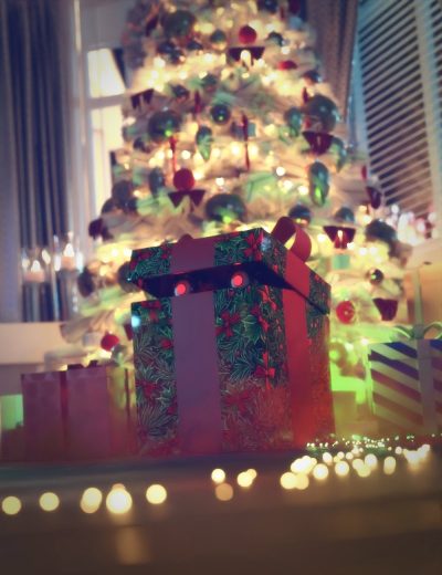 acuriouschristmasgiftchristmasfreebie00maindaz3d-2