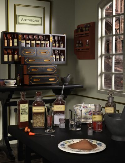 victorianmedicinecabinet00maindaz3d