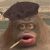 Monkee