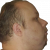 dylan